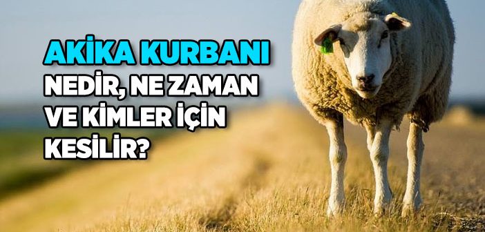 Kurban Rehberi